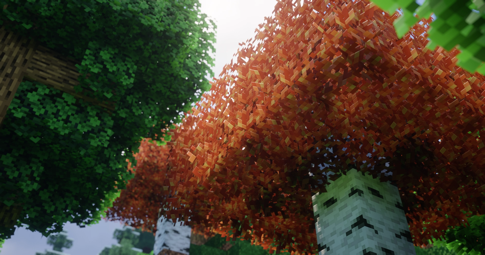 A8c25185 2d4f 45af bab9 ad0d26d10e58 A8c25185 2d4f 45af bab9 ad0d26d10e58