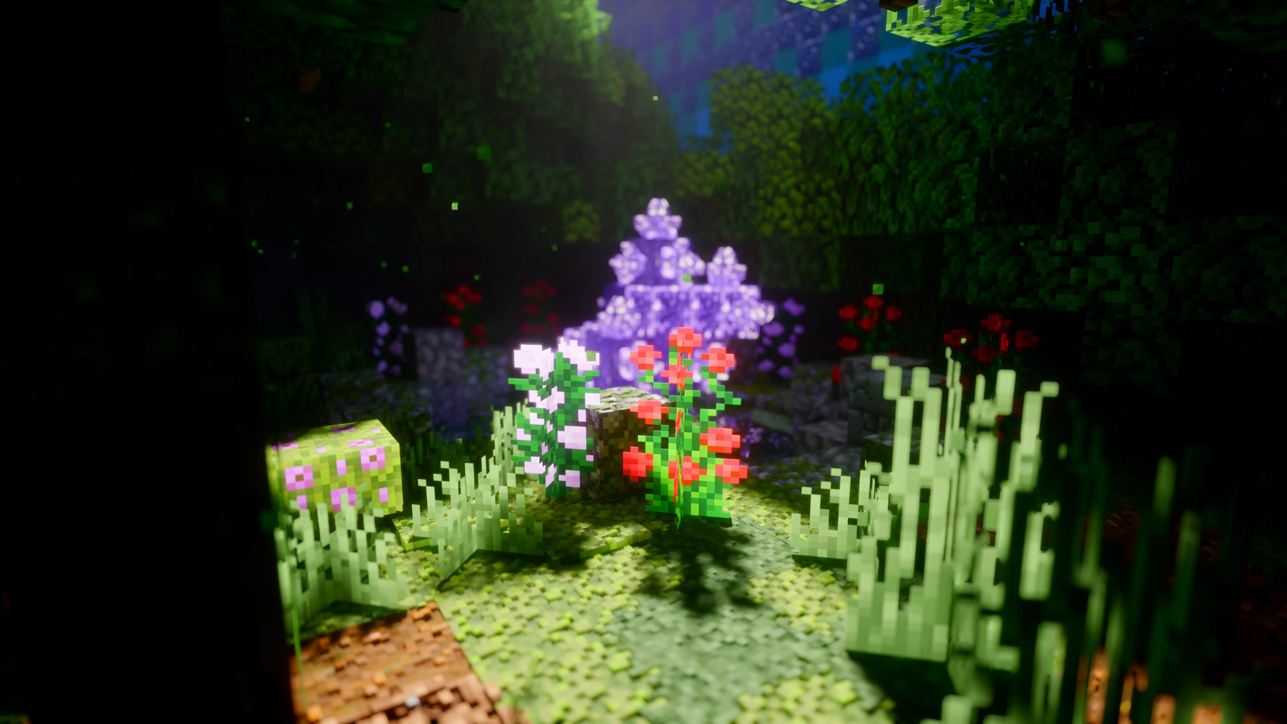 Bae22b7c c15e 4148 a2ff 7b57443f3c06 Bae22b7c c15e 4148 a2ff 7b57443f3c06