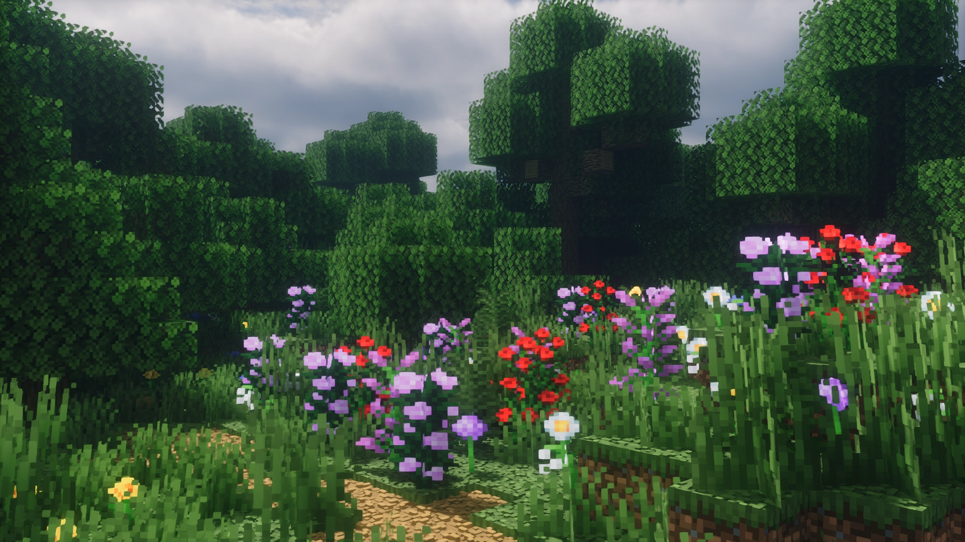 Da11cdc8 75e3 48bc 8772 76f00e768016 Da11cdc8 75e3 48bc 8772 76f00e768016